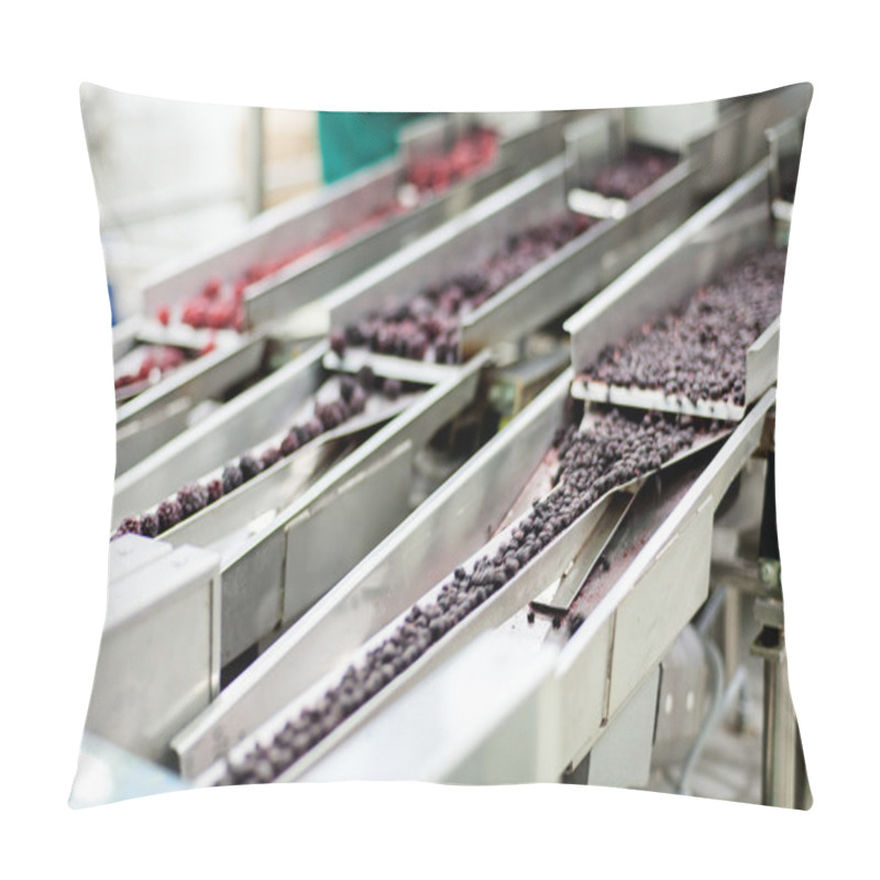 Personality  Frozen Raspberry Processing Business Pillow Covers