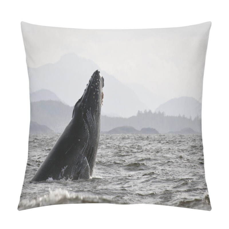 Personality  Humpback Whale Pillow Covers