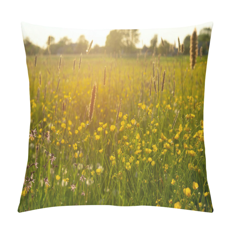 Personality  Bright Field Yellow Flowers Buttercups In The MeadowSunny Spring Day Pillow Covers