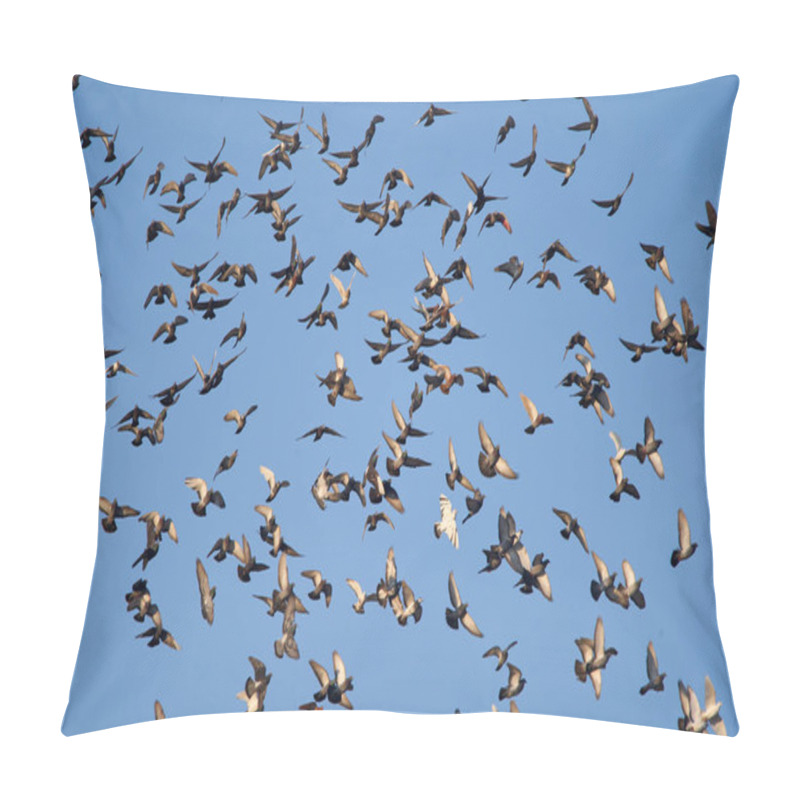 Personality  Swarm Of Pigeons Flying Against Blue Sky Pillow Covers