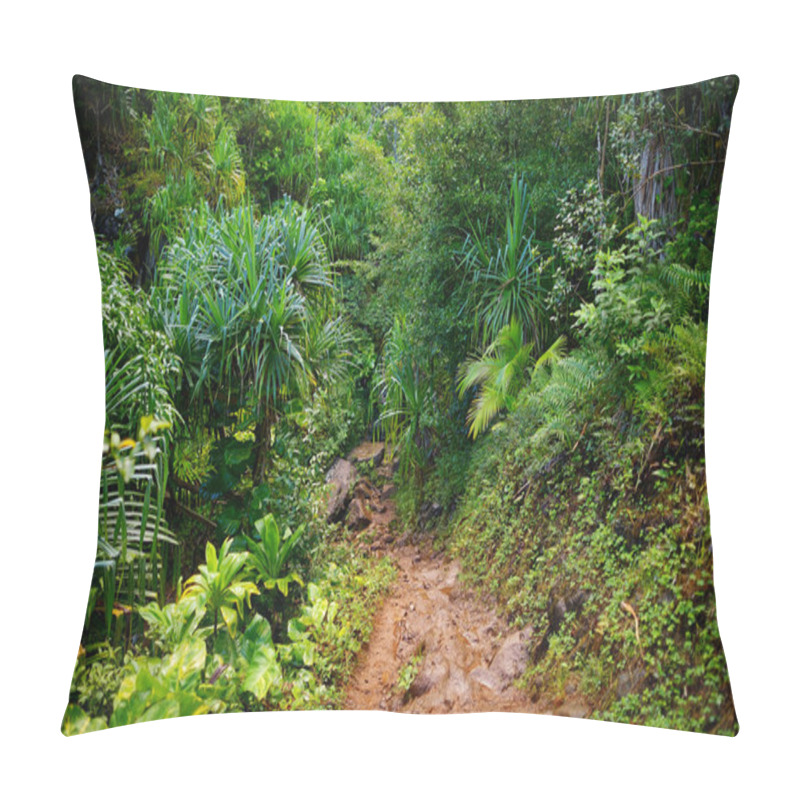 Personality  Kalalau Trail In Kauai Pillow Covers