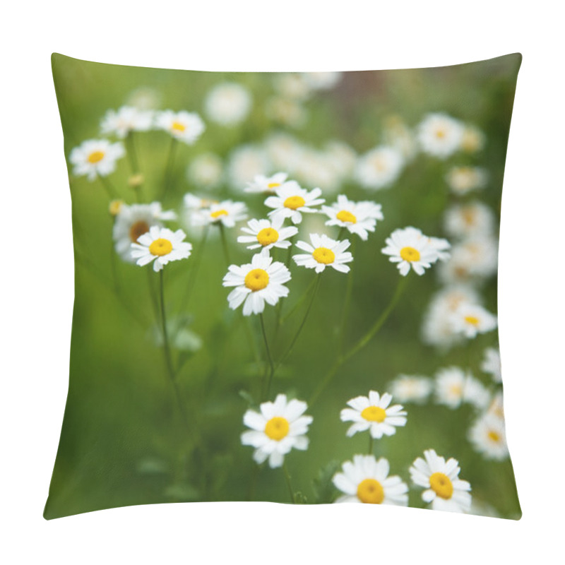 Personality  Wildflowers Pillow Covers