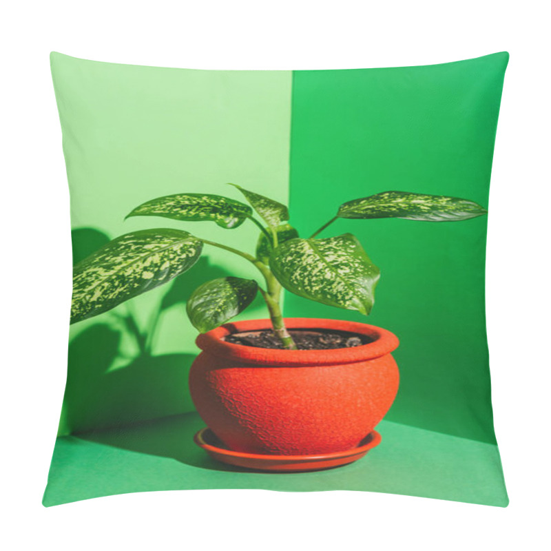 Personality  One Green Houseplant In Red Pot On Green Pillow Covers