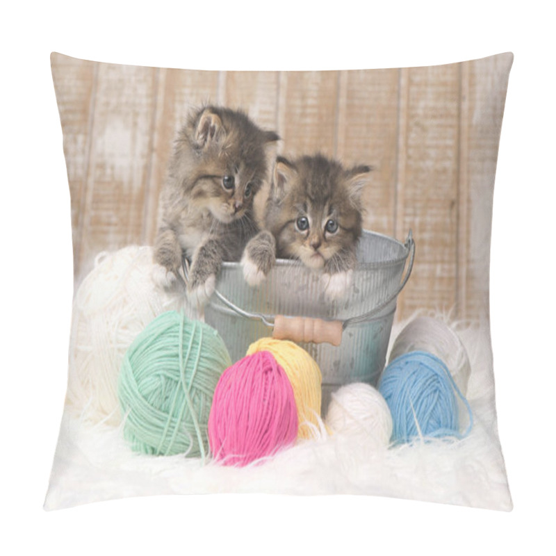 Personality  Kittens With Balls Of Yarn In Studio Pillow Covers