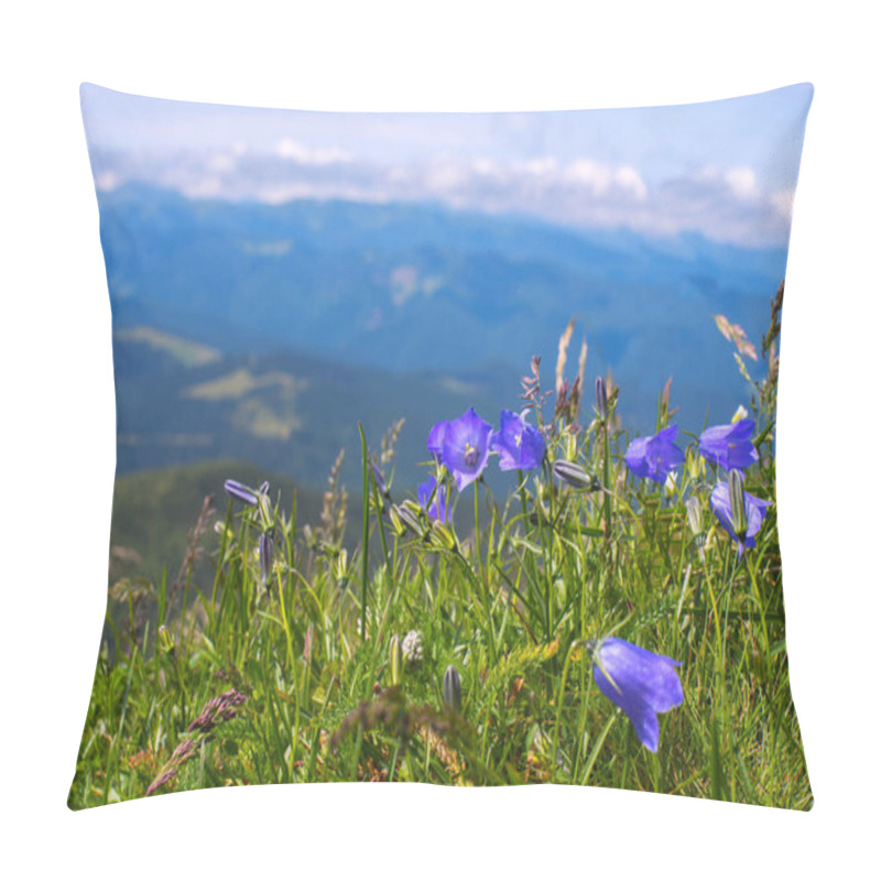 Personality  Blue Wildflowers In An Alpine Meadow Pillow Covers