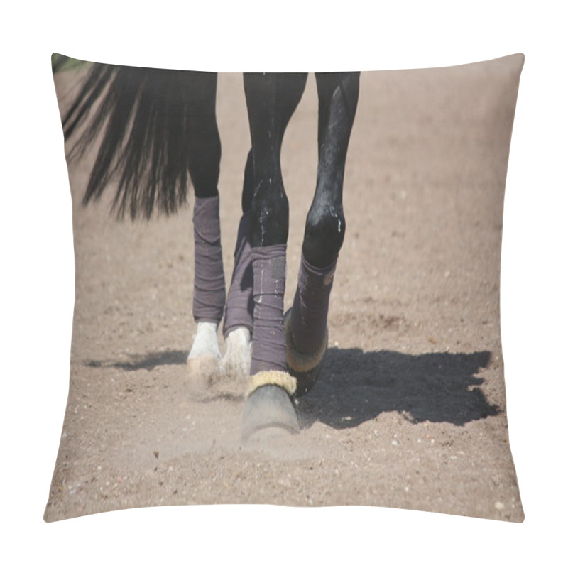 Personality  Black Horse Legs With Bandages And Hoof Boots Pillow Covers