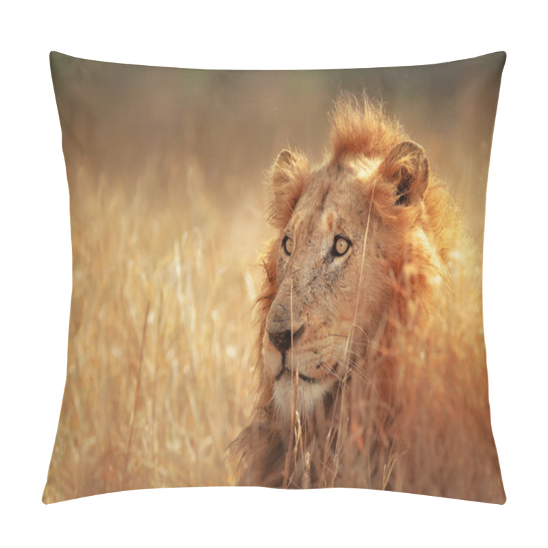 Personality  Lion In Grassland Pillow Covers