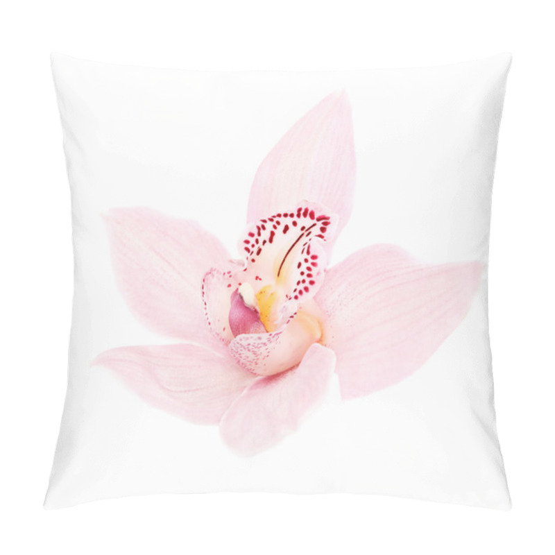 Personality  Rosy Orchid Isolated On White Background Pillow Covers