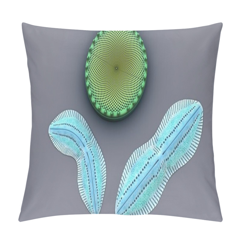 Personality  Diatoms, Unicellular Algae Pillow Covers