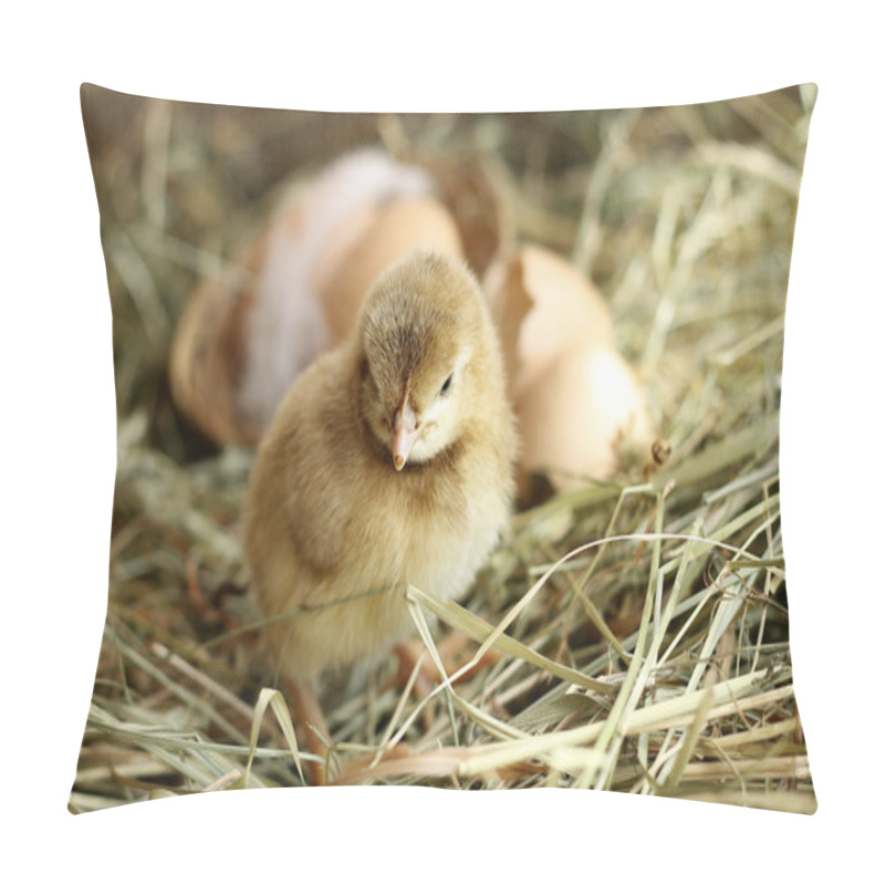 Personality  Brown Orpington Chick On Hay Background Pillow Covers