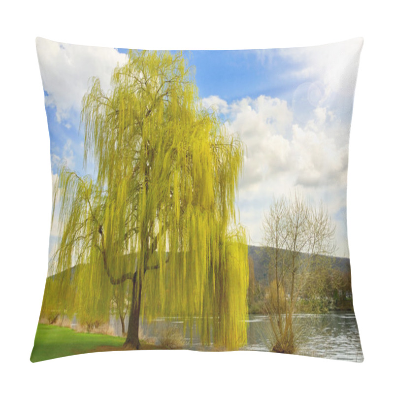 Personality  Beautiful Weeping Willow In A Park Pillow Covers