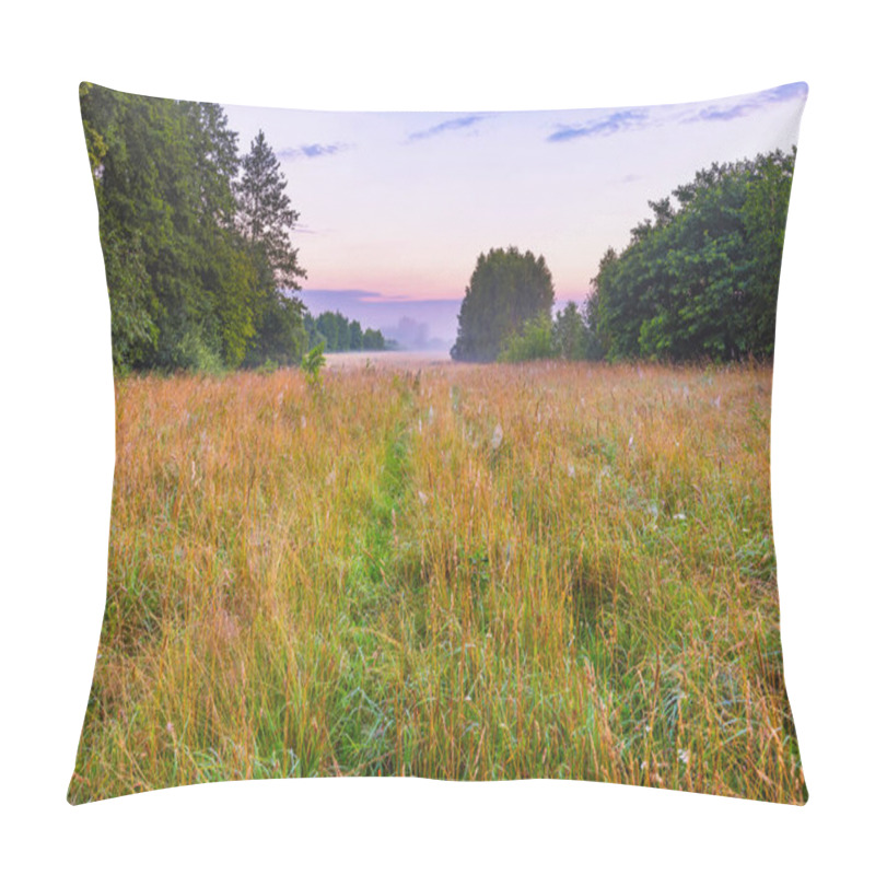 Personality  Vibrant Landscape With Foggy Meadow In Poland Pillow Covers