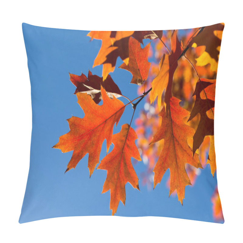 Personality  Autumn Leaves On Sunny Day Pillow Covers