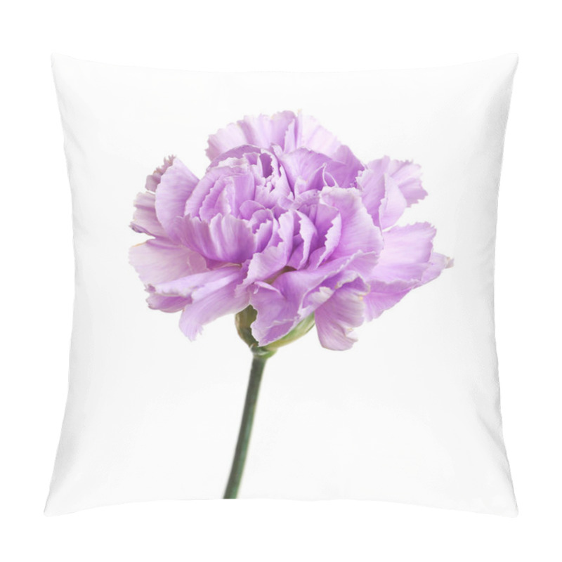 Personality  Beautiful Blooming Violet Carnation On White Background Pillow Covers