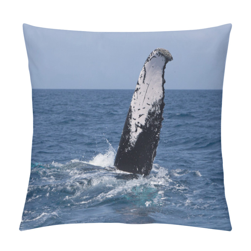 Personality  Humpback Whale Fluke Pillow Covers