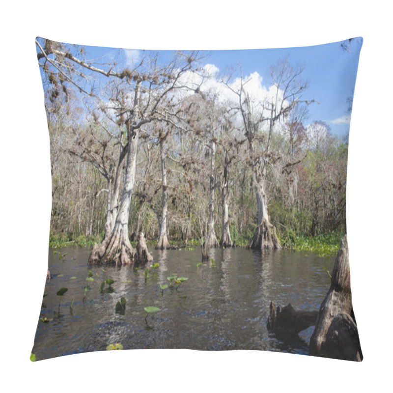 Personality  Lake Sentries: Old Cypress Trees Among Lily Pads Pillow Covers