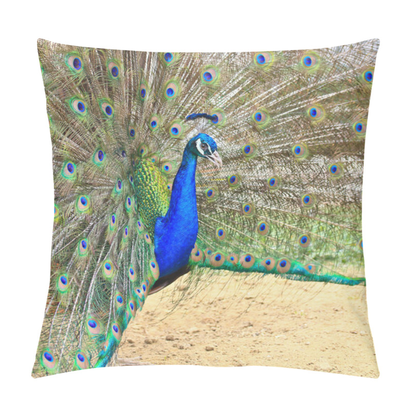 Personality  Green Peacock Bird Pillow Covers