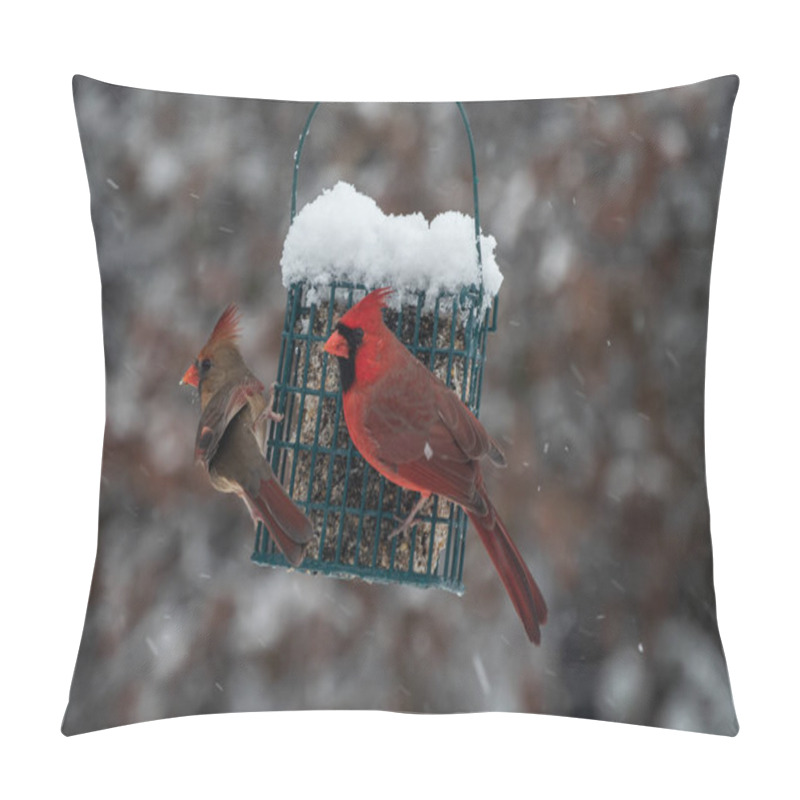 Personality  A Pair Of Cardinals Share The Suet Feeder On A Cold Snowy Day In Missouri. Bokeh Effect. Pillow Covers