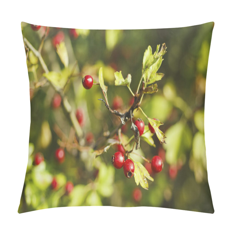 Personality  Hawthorn Berries In Nature Pillow Covers