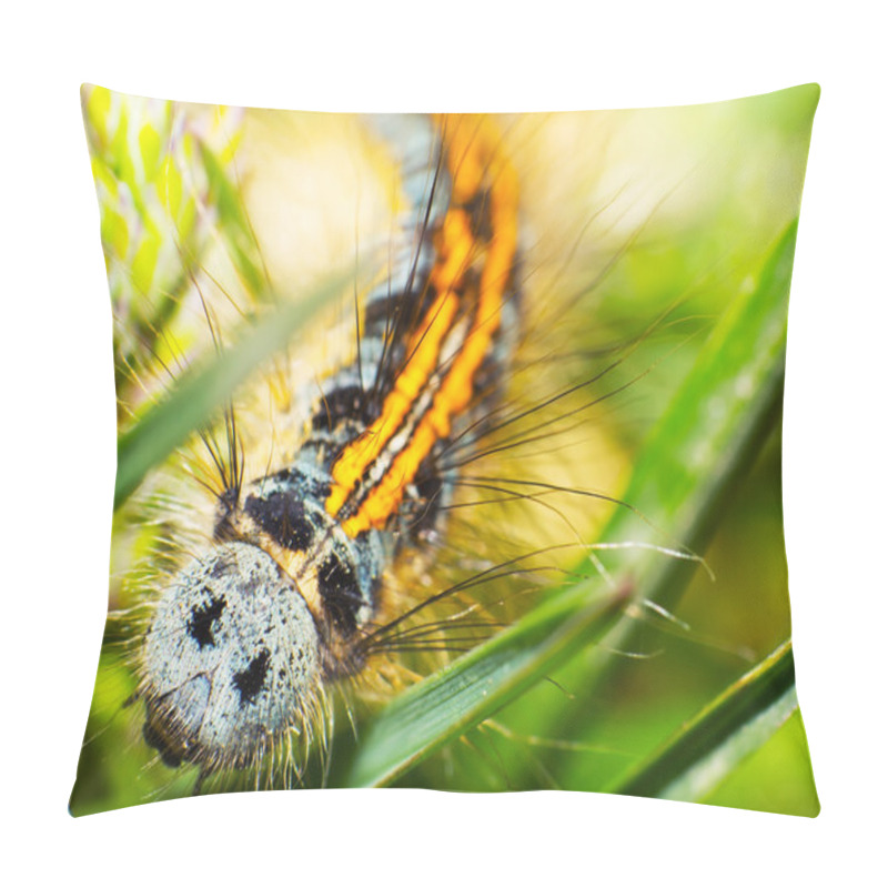 Personality  Caterpillars Pillow Covers