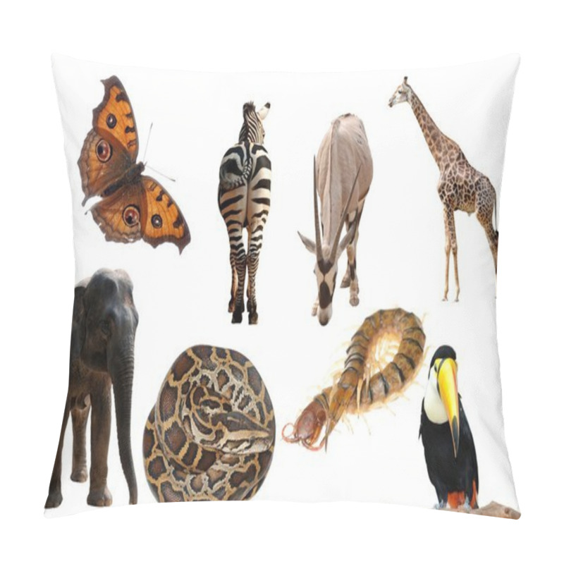 Personality  Wild Animal Collection Pillow Covers