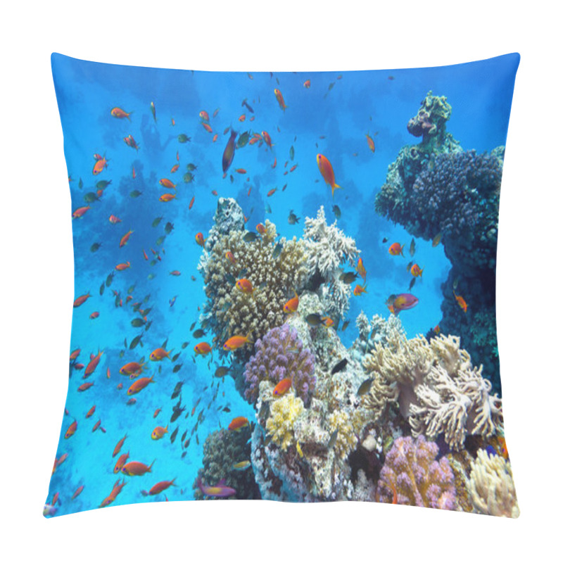 Personality  Coral Reef With Soft And Hard Corals With Exotic Fishes Anthias On The Bottom Of Tropical Sea On Blue Water Background Pillow Covers