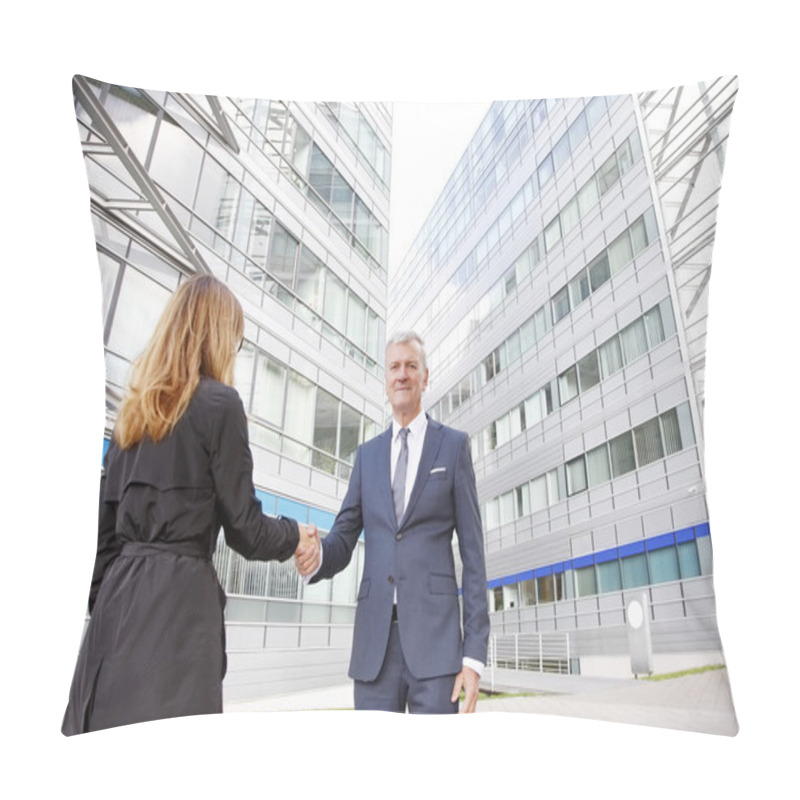 Personality  Manager And Businesswoman  Shaking Hands Pillow Covers