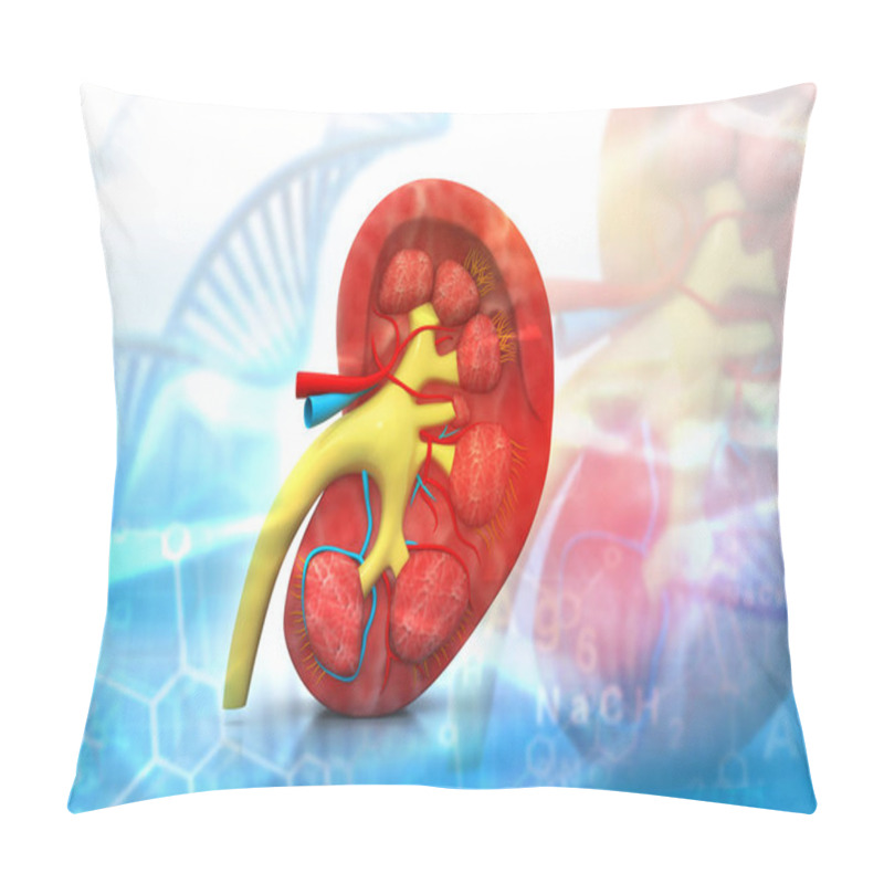 Personality  Cross Section Kidney. Health Care Background	 Pillow Covers