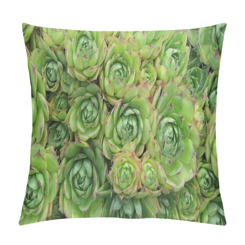 Personality  Beautiful Botanical Shot, Natural Wallpaper Pillow Covers