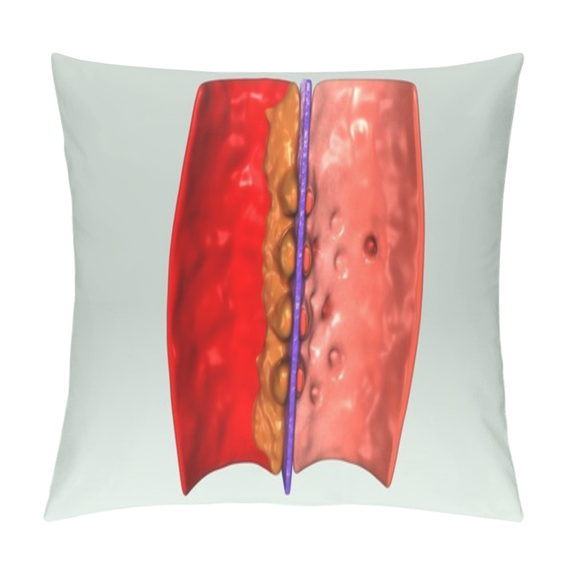 Personality  Glomerulus, Nephron Capillaries Section Pillow Covers