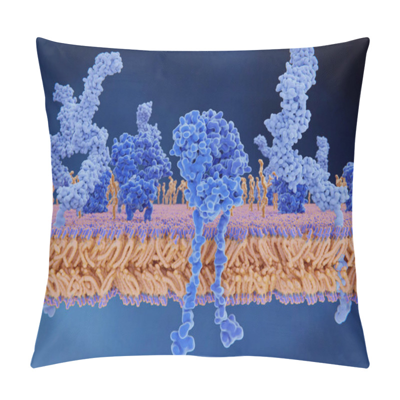 Personality  The T-cell Receptor Activates The Immune Response To Antigens In T-lymphocytes. T-cell Receptors (dark Blue), CD4 Molecules (light Blue), Glycolipids (orange). 3d Rendering. Illustration Pillow Covers