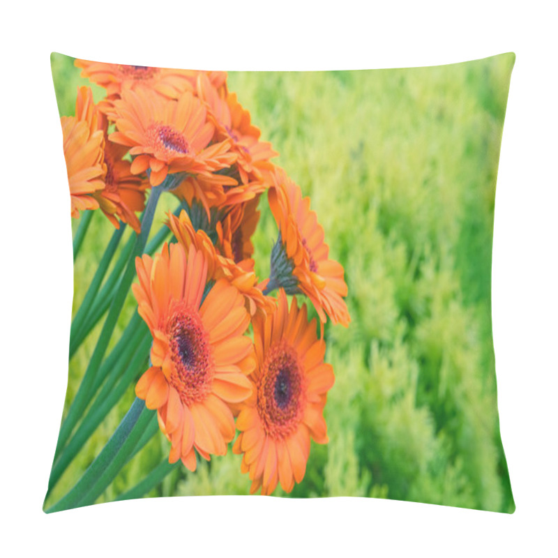 Personality  Gerbera Flowers On Green Background Pillow Covers