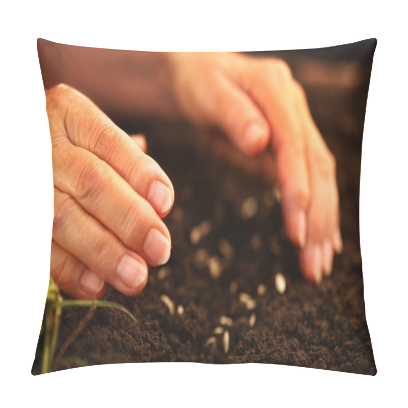 Personality  Hand Of Elderly Woman Throwing Seeds In Dirt. Pillow Covers