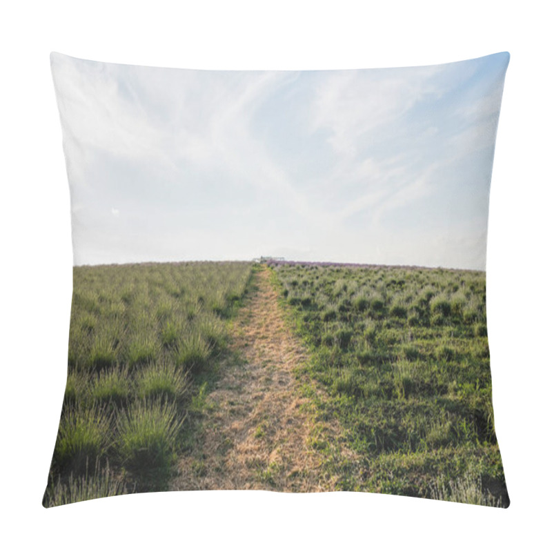 Personality  Meadow With Green Plants Under Blue Sky On Summer Day Pillow Covers