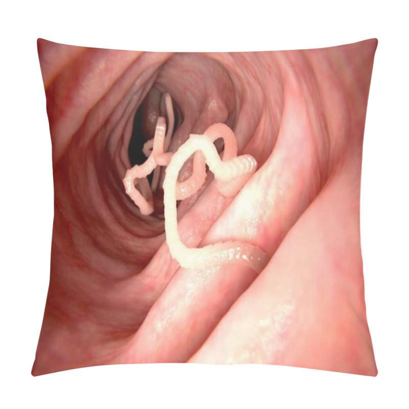 Personality  Tapeworm In Human Intestine. 3D Rendering. Tapeworms Are A Species Of Parasitic Flatworms. They Live In The Digestive Tracts Of Vertebrates. Illustration Pillow Covers