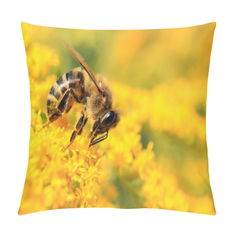 Personality  Garden Pillow Covers