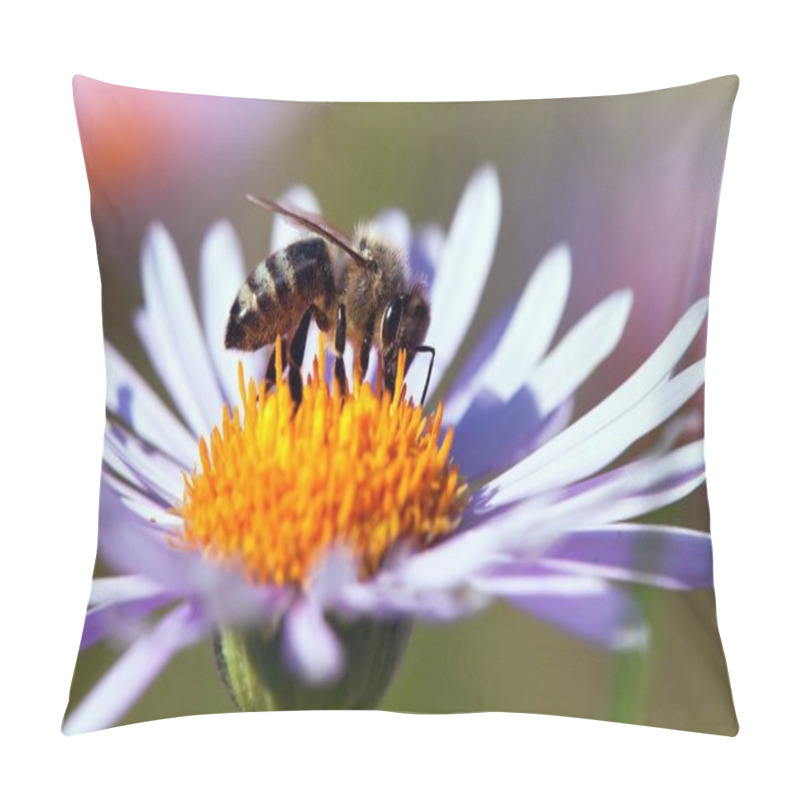 Personality  Detail Of Honeybee Sitting On The Violet Flower Pillow Covers