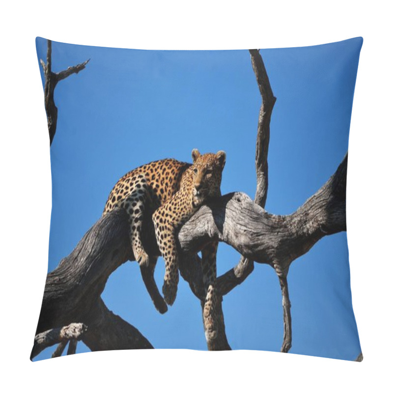 Personality  Close Shot Of A Leopard Laying On A Tree With Blue Sky In The Background Pillow Covers