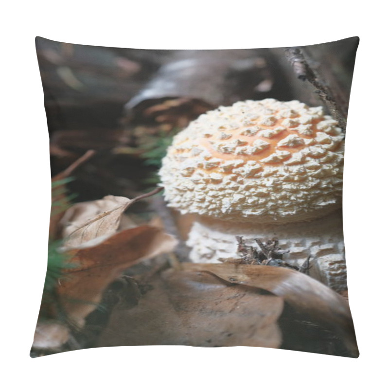 Personality  White-red Fly Agaric Grows In The Forest. Poisonous And Hallucinogenic Mushrooms, Forest Floor, Small World. Pillow Covers