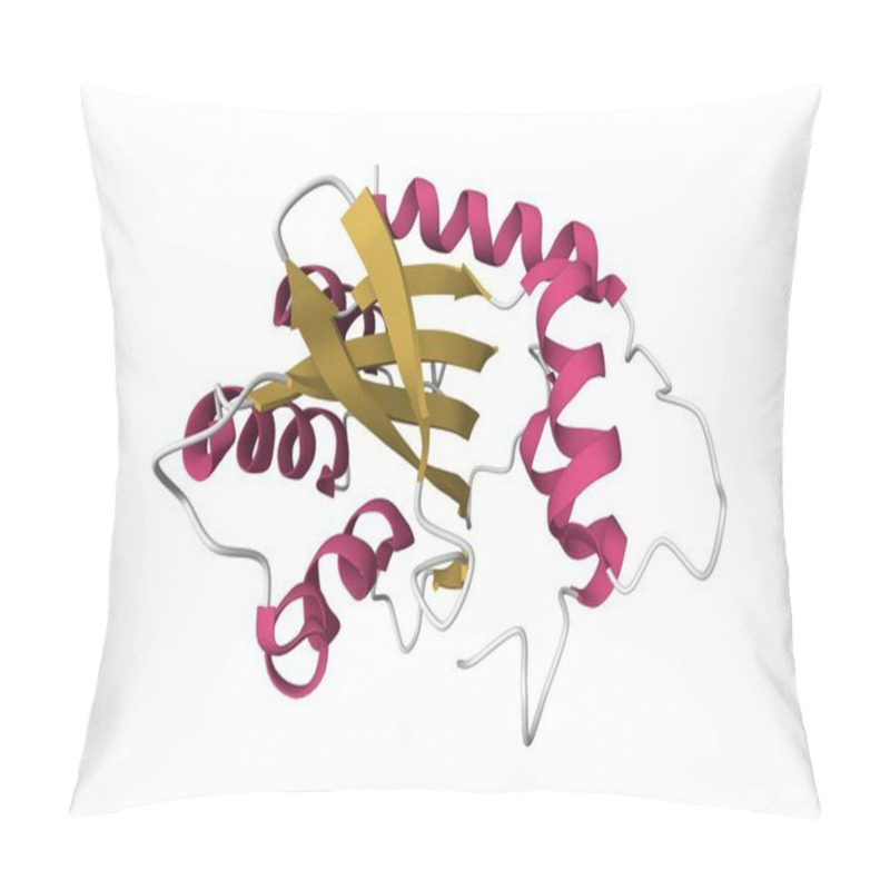 Personality  Crystal Structure Of The Cancer Genomic DNA Mutator APOBEC3B. 3D Cartoon Model, PDB 5cqd, Secondary Structure Color Scheme, White Background Pillow Covers