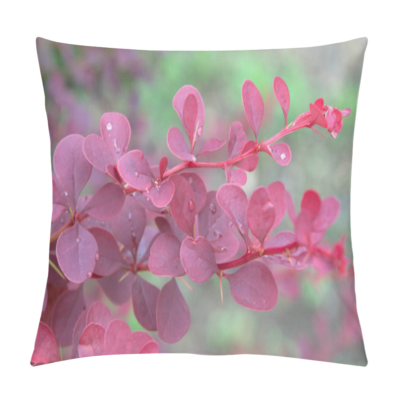 Personality  Beautiful Burgundy Leaves Of Barberry In Water Drops After Rain Pillow Covers