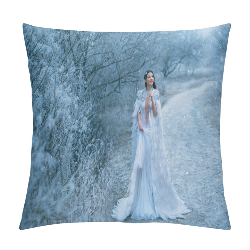 Personality  Young Happy Lady Snow Queen Walk Travel Outdoor. Creative Cozy Outfit Medieval Clothing Cape With Feathers. Smile Face. Frosty View Snowy Scene. Xmas New Year Celebration Holiday Magic Fantasy Concept Pillow Covers