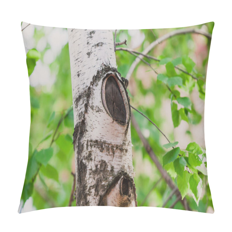 Personality  Beautiful Vertical Birch Tree Trunk With An Oval Branch Cut. Green Leaves Grow Behin Pillow Covers