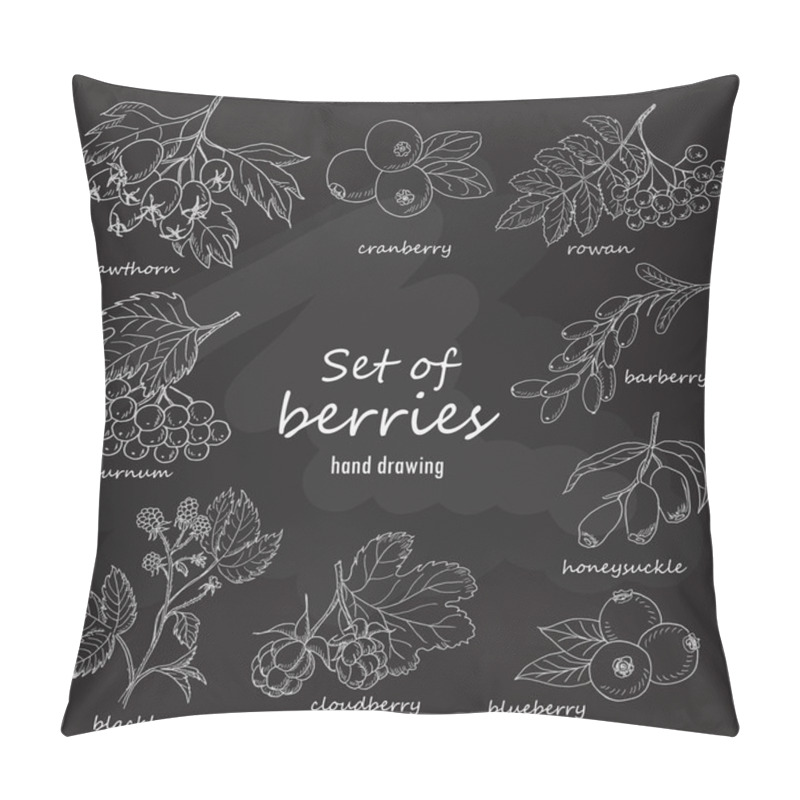 Personality  Set Of Forest Berries On Dark Background Pillow Covers