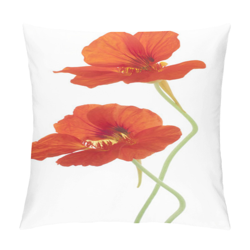 Personality  Nasturtium Pillow Covers