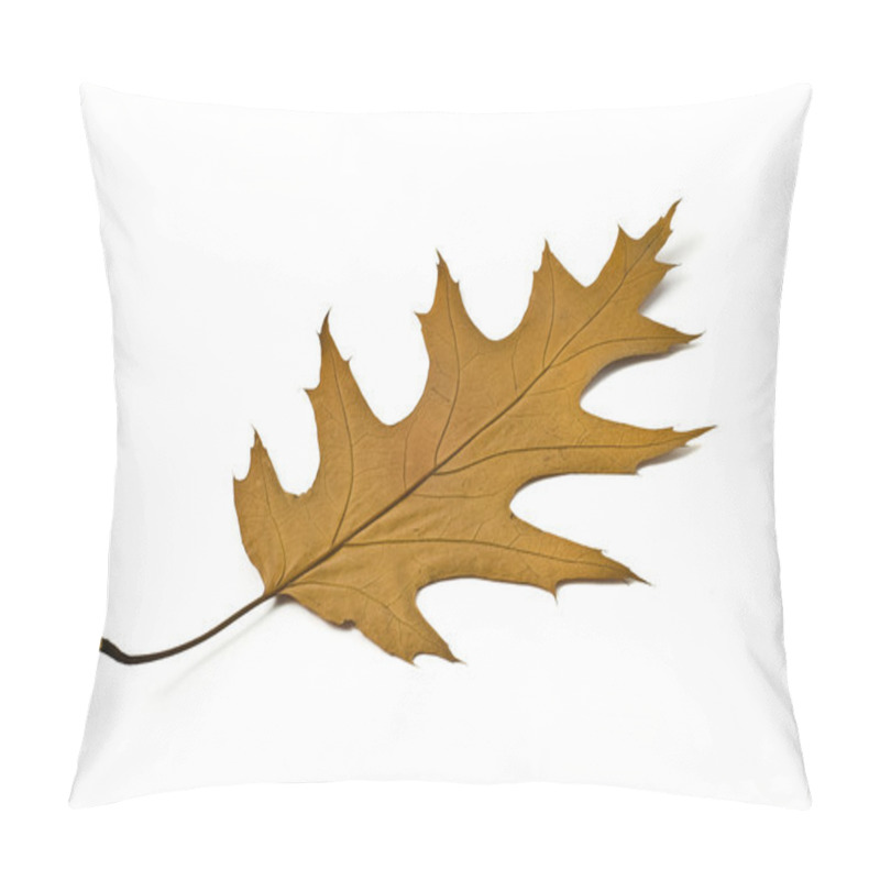 Personality  Beautiful Maple Leaf Pillow Covers