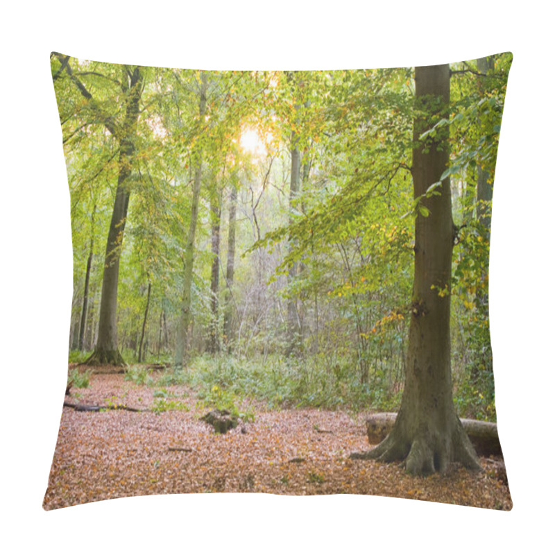 Personality  Autumn Sunset Forest Pillow Covers