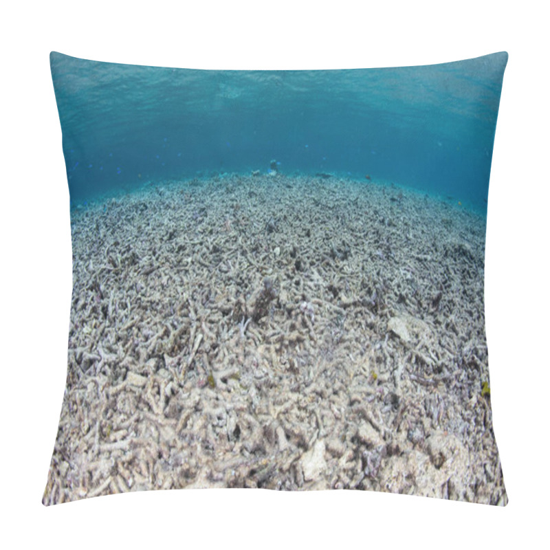 Personality  Rubble Dominates The Seafloor On A Small Part Of A Reef In Raja Ampat, Indonesia. Even On A Healthy Reef Some Areas Are Always Recovering From Some Natural Disturbance. Pillow Covers