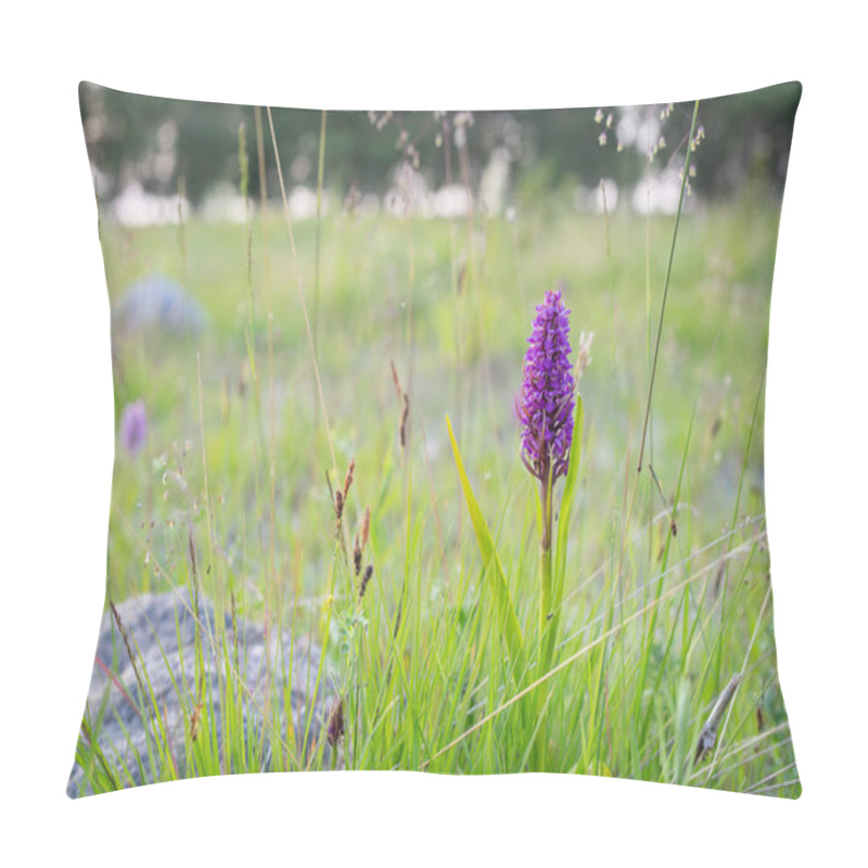 Personality  Blooming Flower In A Natural Environment. Close-up Of Purple Orchid, Dactylorhiza Incarnata.Purple Early Marsh - Orchid Blossom, Dactylorhiza Incarnata.  Pillow Covers