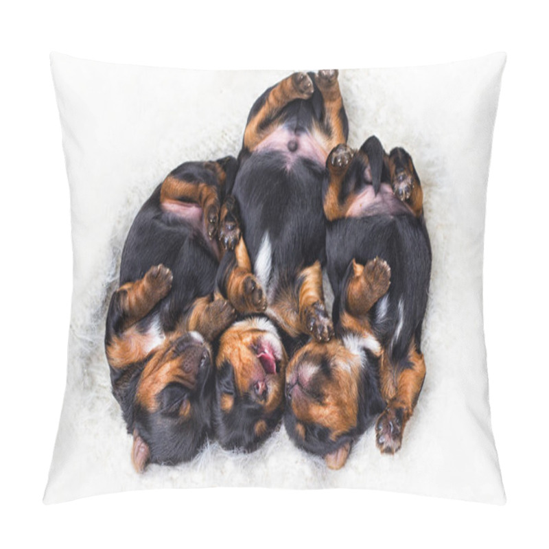 Personality  Puppies Sleep Comfortably On A Fluffy Blanket Pillow Covers